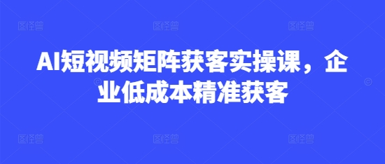 AI短视频矩阵获客实操课，企业低成本精准获客-HEIXMI（中国站）