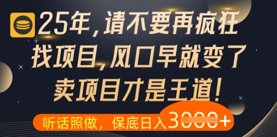 什么？25年你还在疯狂找项目做，醒醒吧，看完这些你全都懂了【揭秘】-HEIXMI（中国站）