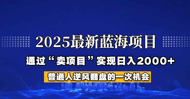 2025年蓝海项目，如何通过“网创项目”日入2000+-HEIXMI（中国站）