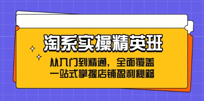 淘系实操精英班：从入门到精通，全面覆盖，一站式掌握店铺盈利秘籍-HEIXMI（中国站）