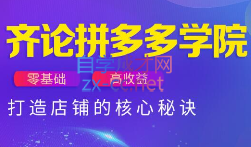 齐论拼多多vip课程-HEIXMI（中国站）