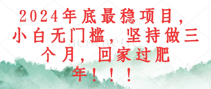 2024年底最稳项目，小白无门槛，坚持做三个月，回家过肥年！！！-HEIXMI（中国站）