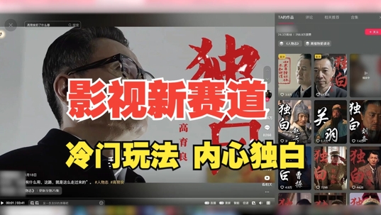 最新影视解说玩法，人物独白，30天涨粉24万+，全流程拆解【揭秘】-HEIXMI（中国站）