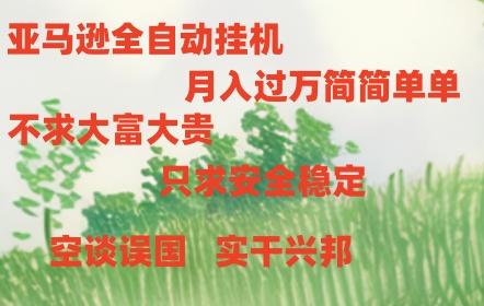 亚马逊全自动浏览挂机，，收益稳定且前景广阔-HEIXMI（中国站）