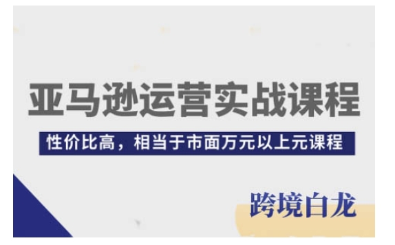 亚马逊运营实战课程，亚马逊从入门到精通，性价比高，相当于市面万元以上元课程-HEIXMI（中国站）