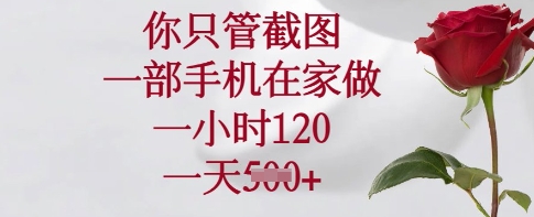 你只管截图，一部手机在家做，一小时120.一天5张【揭秘】-HEIXMI（中国站）