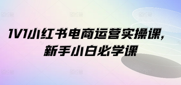 1V1小红书电商运营实操课，新手小白必学课-HEIXMI（中国站）