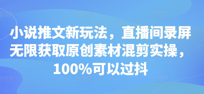 小说推文新玩法，直播间录屏无限获取原创素材混剪实操，100%可以过抖-HEIXMI（中国站）