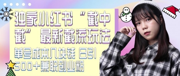 最新小红书截流玩法 独家截中截 单号成本几块钱 日引500+CY粉JZ粉-HEIXMI（中国站）
