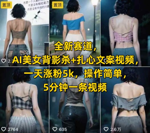 全新赛道，AI美女背影杀+扎心文案视频，一天涨粉5k，操作简单，5分钟一条视频-HEIXMI（中国站）