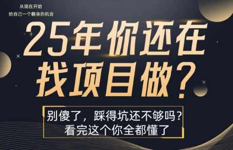 25年，你还在疯狂的找项目吗？别傻了，看完这个你都懂了【揭秘】-HEIXMI（中国站）