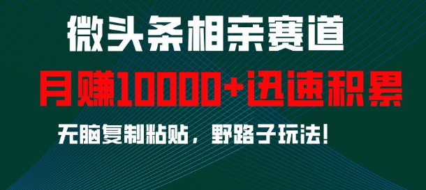 微头条相亲赛道，迅速积累，无脑复制粘贴，野路子玩法，月入1w-HEIXMI（中国站）