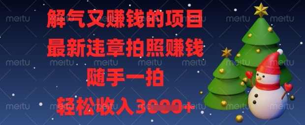 解气又挣钱的项目，最新违章拍照挣钱，随手一拍，轻松收入数张【揭秘】-HEIXMI（中国站）
