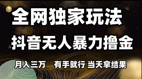 全网独家玩法抖音无人暴力撸金，月入3W，有手就行，当天拿结果【揭秘】 - HEIXMI（中国站）-HEIXMI（中国站）