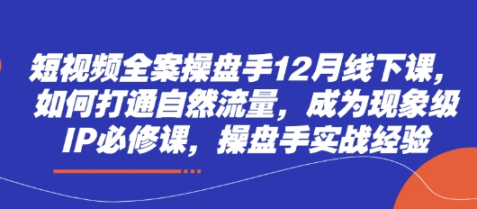 短视频全案操盘手12月线下课，如何打通自然流量，成为现象级IP必修课，操盘手实战经验-HEIXMI（中国站）