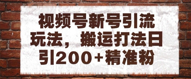 视频号新号引流玩法，搬运打法日引200+精准粉，可矩阵放大【揭秘】 - HEIXMI（中国站）-HEIXMI（中国站）