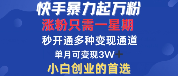 快手暴力起万粉，涨粉只需一星期，多种变现模式，直接秒开万合，单月变现过W【揭秘】-HEIXMI（中国站）