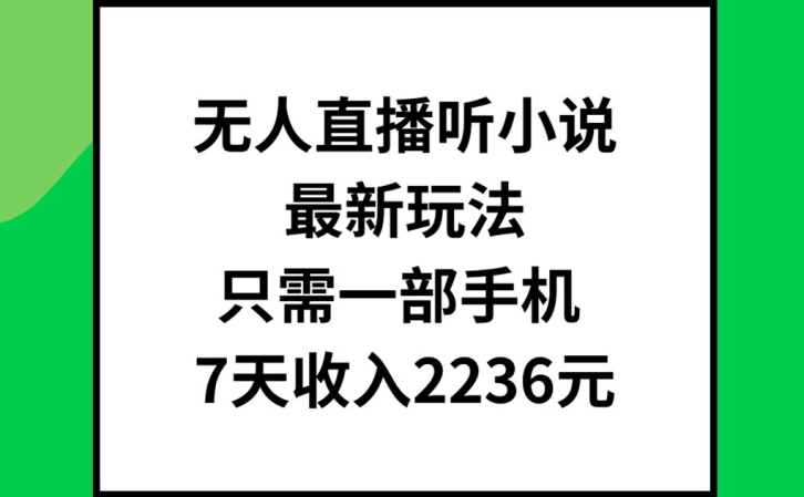 无人直播听小说最新玩法，只需一部手机，7天收入2236元【揭秘】-HEIXMI（中国站）