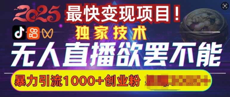 欲罢不能的无人直播引流，超暴力日引流1000+高质量精准创业粉-HEIXMI（中国站）