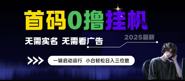 首码0撸挂G项目，无需实名无需看广告 一键启动运行，小白轻松日入三位数【揭秘】 - HEIXMI（中国站）-HEIXMI（中国站）
