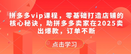 拼多多vip课程，零基础打造店铺的核心秘诀，助拼多多卖家在2025卖出爆款，订单不断-HEIXMI（中国站）