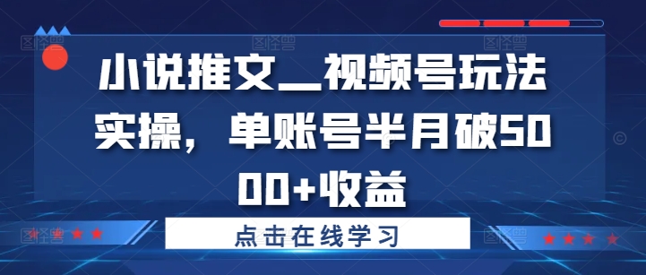 小说推文—视频号玩法实操，单账号半月破5000+收益-HEIXMI（中国站）