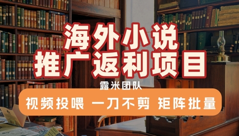 海外小说推广返利项目，视频投喂， 一刀不剪，矩阵批量-HEIXMI（中国站）