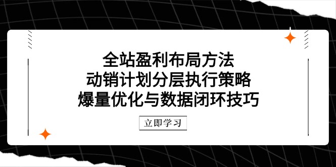 全站盈利布局方法：动销计划分层执行策略，爆量优化与数据闭环技巧-HEIXMI（中国站）