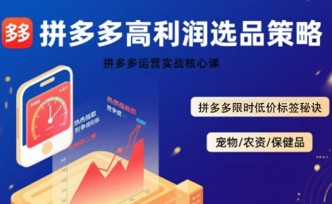 拼多多选品暴利技术实战课，拼多多高利润选品策略，拼多多限时低价标签秘诀-HEIXMI（中国站）