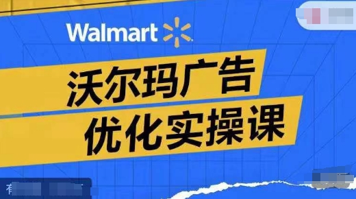 沃尔玛广告优化实操课，广告报告实操讲解，广告如何提高转化和ROAS等-HEIXMI（中国站）