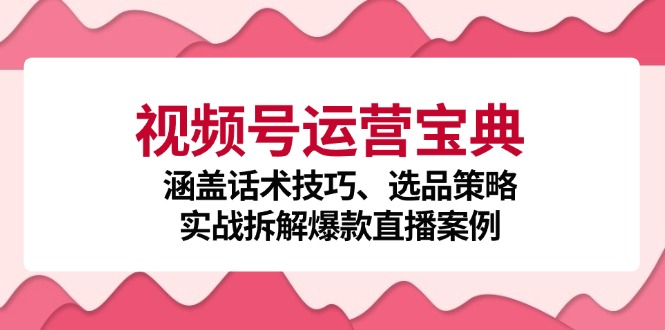 视频号运营宝典：涵盖话术技巧、选品策略、实战拆解爆款直播案例-HEIXMI（中国站）