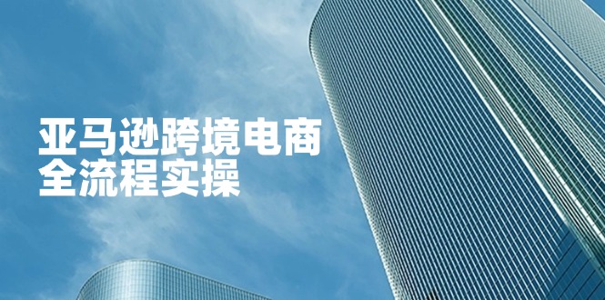 亚马逊跨境电商全流程实操，教你从零开始，掌握店铺运营与广告技巧-HEIXMI（中国站）