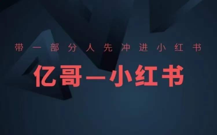 ​​带一部分人先冲进小红书，小红书开店、选品、爆款裂变-HEIXMI（中国站）