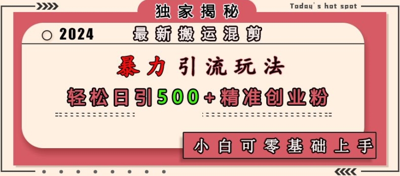 最新搬运混剪暴力引流玩法，轻松日引500+精准创业粉，小白可零基础上手-HEIXMI（中国站）