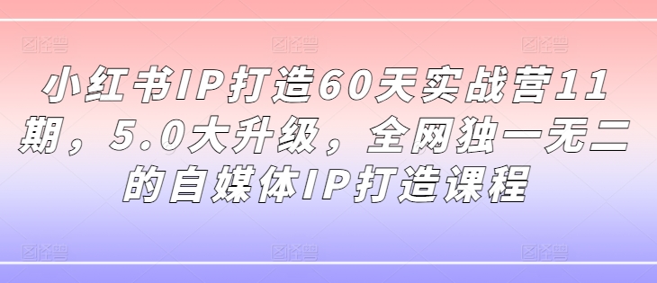 小红书IP打造60天实战营11期，5.0大升级，全网独一无二的自媒体IP打造课程-HEIXMI（中国站）