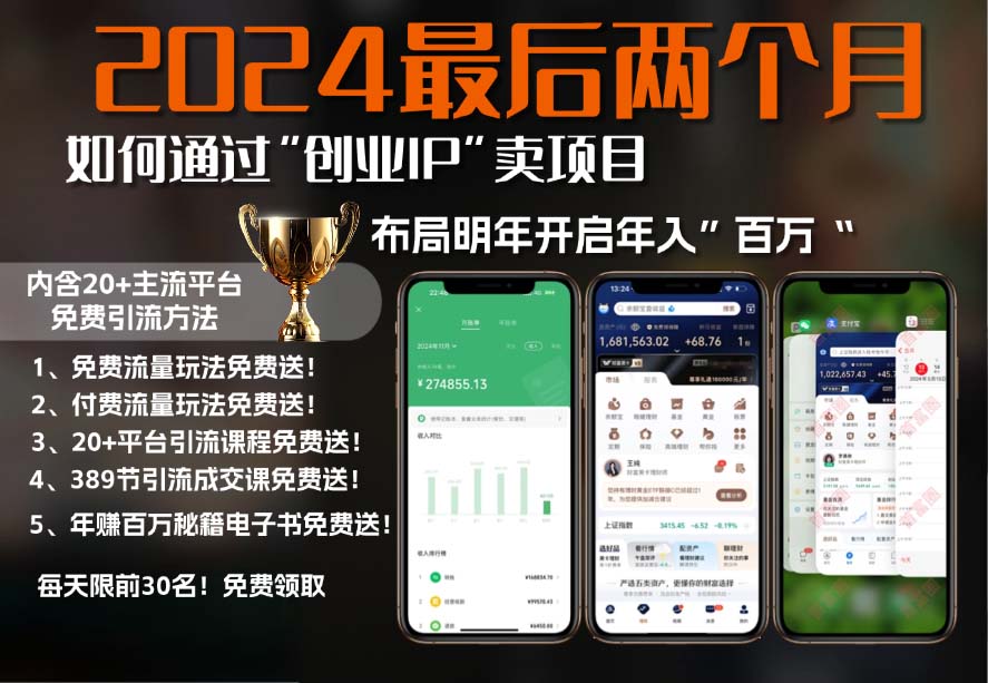 2024最后两个月如何通过”创业IP“卖项目年入”百万“,创业IP+最强引流…-HEIXMI（中国站）