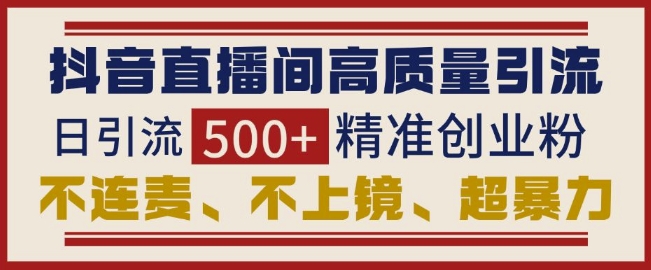抖音直播间引流创业粉，无需连麦、不用上镜、超暴力，日引流500+高质量精准创业粉-HEIXMI（中国站）