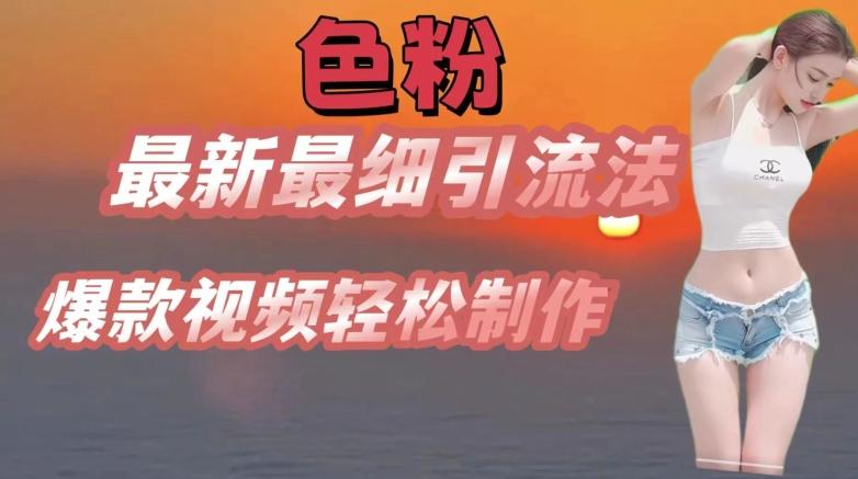 se粉最新最细引流法，七天螺旋起号法，爆款视频轻松制作【揭秘】-HEIXMI（中国站）