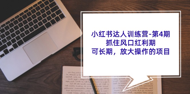 小红书达人训练营第4期：抓住风口红利期，可长期，放大操作的项目-HEIXMI（中国站）