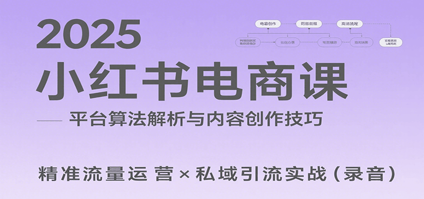 2025小红书电商课：解析算法，创作高转化内容，助力卖家获取流量实现变现(录音)-HEIXMI（中国站）