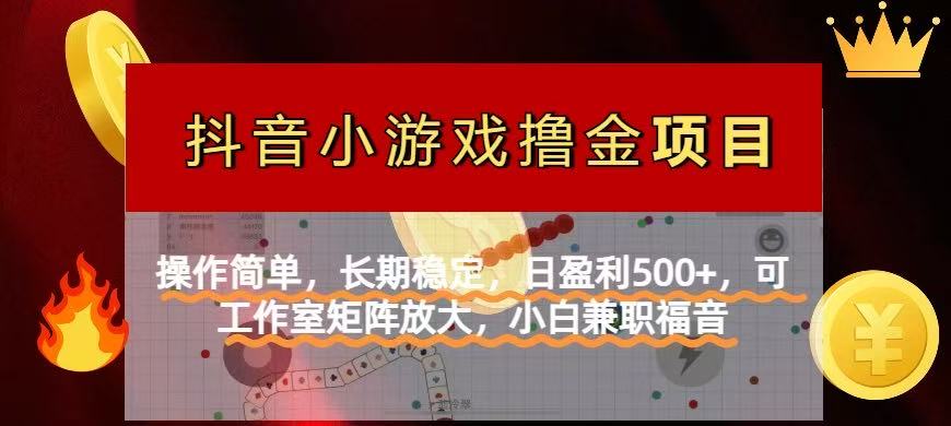 【抖音小游戏发行人计划项目】操作简单，长期稳定，日盈利500+，可工作…-HEIXMI（中国站）