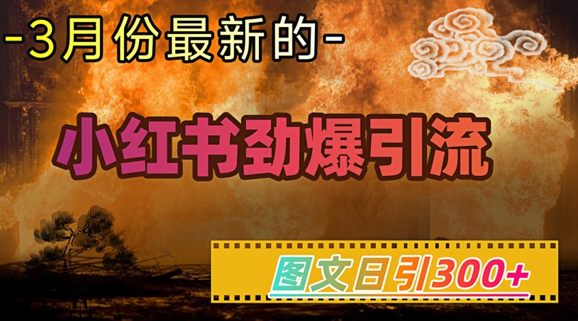 小红书超劲爆引流手段，图文日引300+轻松变现1W-HEIXMI（中国站）