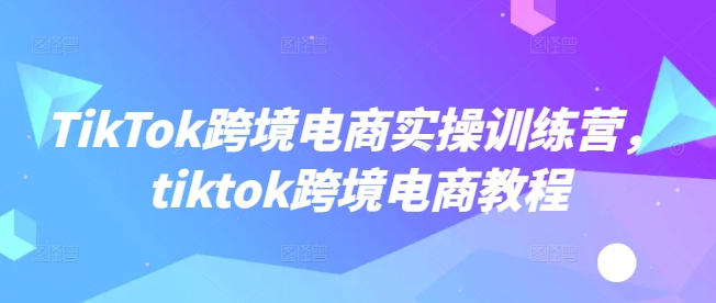 TikTok跨境电商实操训练营，tiktok跨境电商教程-HEIXMI（中国站）
