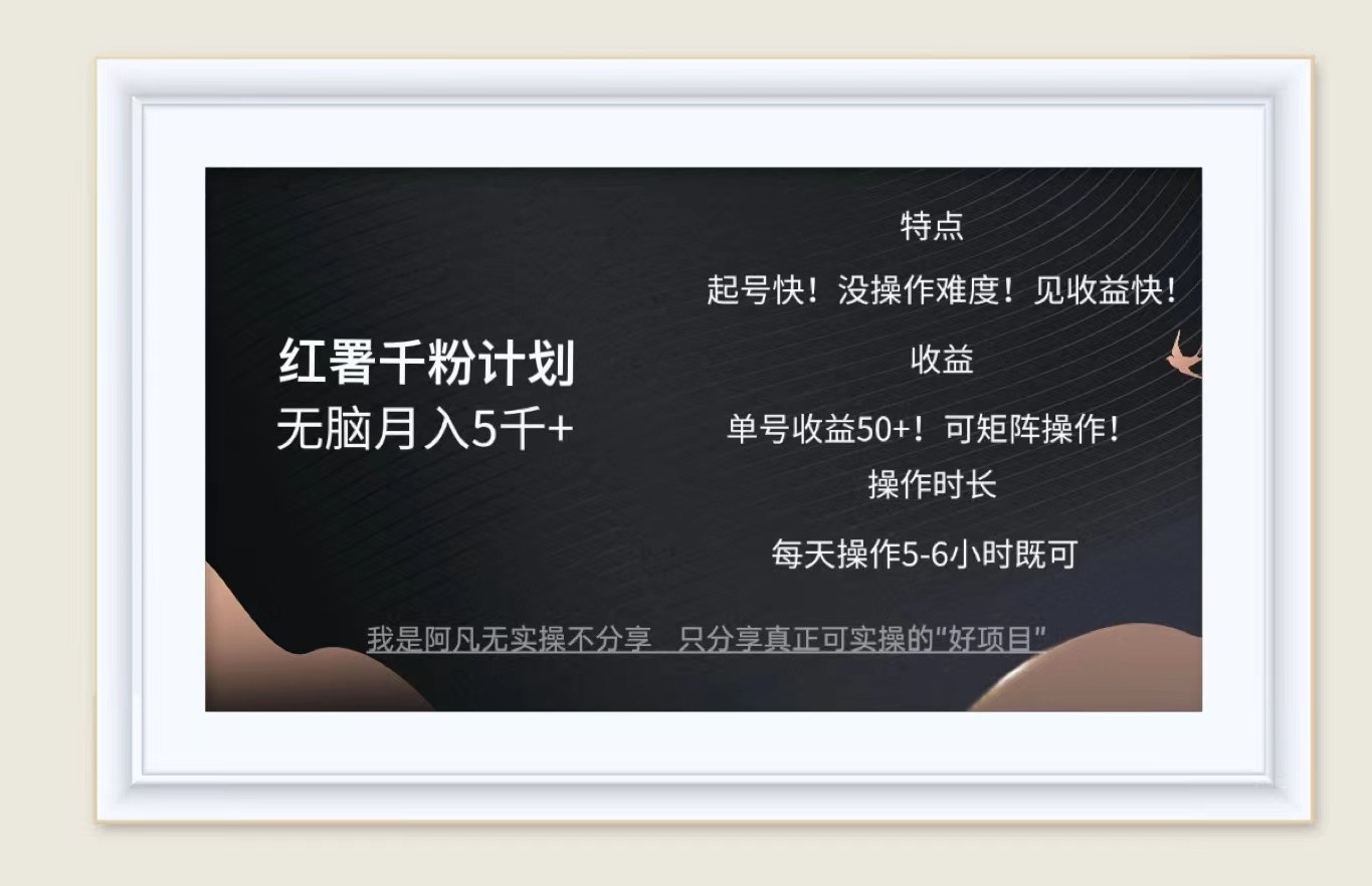红薯千粉计划无脑月入5千+！既做既赚！-HEIXMI（中国站）