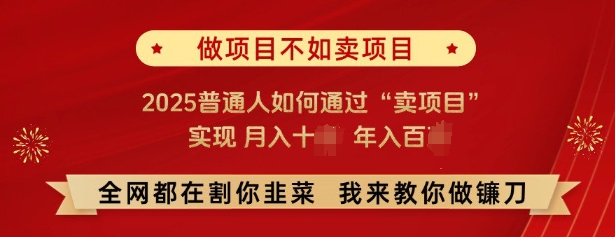 必看，做项目不如卖项目，2025普通人如何通过“卖项目”实现月入十个，年入百个-HEIXMI（中国站）