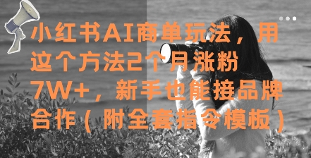 小红书AI商单玩法，用这个方法2个月涨粉7W+，新手也能接品牌合作(附全套指令模板) - HEIXMI（中国站）-HEIXMI（中国站）