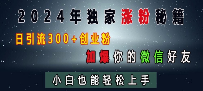 2024年独家涨粉秘籍，日引流300+创业粉，加爆你的微信好友，小白也能轻松上手-HEIXMI（中国站）