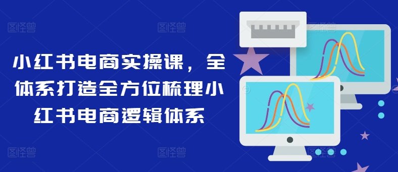 小红书电商实操课，全体系打造全方位梳理小红书电商逻辑体系-HEIXMI（中国站）