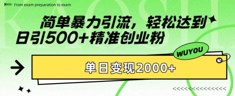 简单暴力引流，轻松达到日引500+精准创业粉，单日变现2k【揭秘】-HEIXMI（中国站）