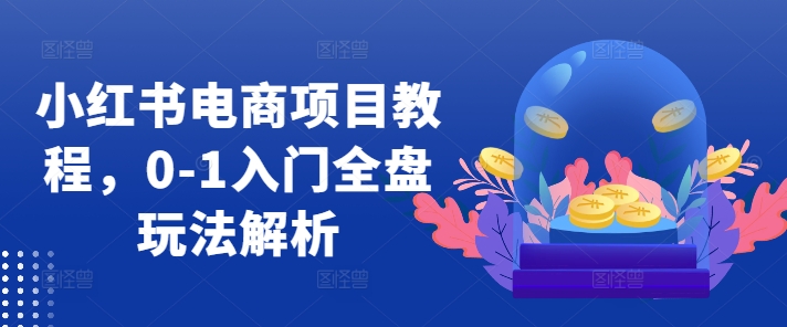 小红书电商项目教程，0-1入门全盘玩法解析-HEIXMI（中国站）
